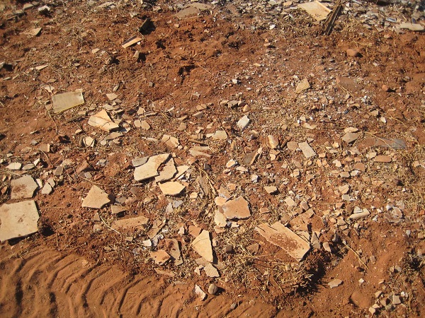 Soil Remediation